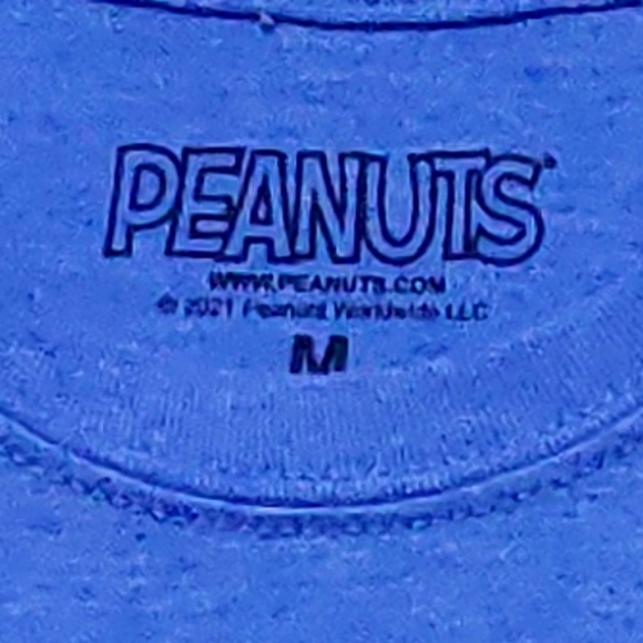 Peanuts Snoopy Men's Short Sleeve Tee Shirt, Blue, Size Medium, D02-0176 - Picture 4 of 4